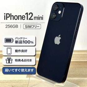 【片手操作OK】 iPhone 12mini 256GB |黒|SIMフリー