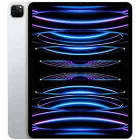 iPad Pro 11インチ 第4世代[256GB] セルラー docomo シルバー …