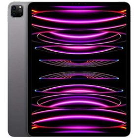 iPad Pro 11インチ 第4世代[256GB] セルラー SIMフリー スペー…