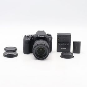 キヤノン(Canon)のCanon EOS 90D EF-S18-135 IS USM レンズキット(デジタル一眼)