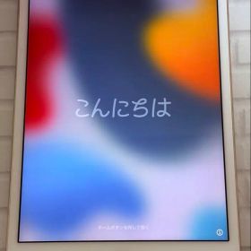 iPad mini4 Wi-Fi+Cellular128GBゴールドSIMフリー