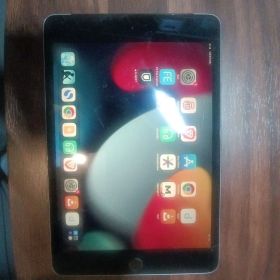 iPad mini4