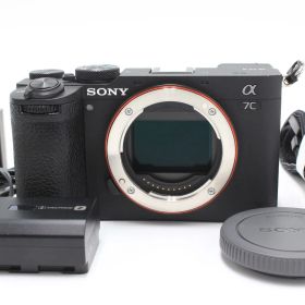 18391ショット！SONY(ソニー) α7CII