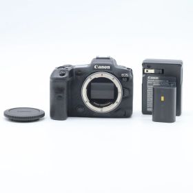 Canon EOS R5 ボディ ショット数 3000以下