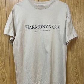 清春ハーモニーズTシャツM +チラシ3枚