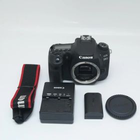 CANON EOS 90D ボディ デジタル一眼レフカメラ キヤノン