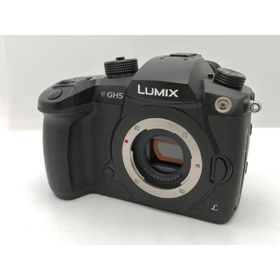 【中古】Panasonic LUMIX GH5 ボディ DC-GH5-K ブラック【新宿2】保証期間１ヶ月【ランクB】