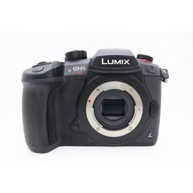 パナソニック Panasonic ミラーレス一眼 ボディ フォーサーズ LUMIX DC-GH5S