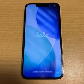 iPhone13Pro 256GB SIMフリー (スマートフォン本体)