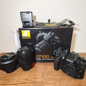 美品 シャッター極少2919回 NikonD7100カメラ&レンズセット