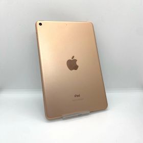 Apple iPad mini 7.9インチ 第5世代 64GB ゴールド Wi-Fi 美品 動作確認済【全額返金保証】【最速発送】