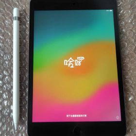 iPad mini 第5世代 スペースグレイ Apple Pencil