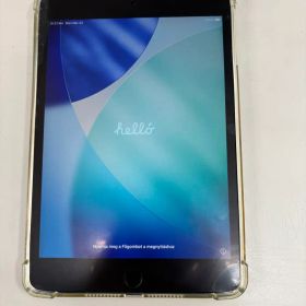 Apple iPad mini (第5世代) 256GB スペースグレー