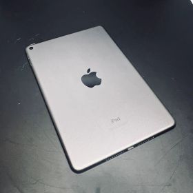 【Wi-Fiモデル】iPad mini 第5世代 mini5 本体 動作確認済み