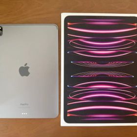 Apple iPad Pro 11 第4世代 M2 スペースグレイ 128GB