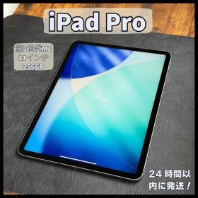 iPad Pro 第3世代 11インチ 256GB スペースグレー