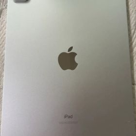 iPadPro 第2世代 11インチ 256GB cellular+Wi-Fi