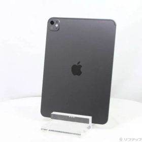 ソフマップ 〔中古品〕 iPad Pro 11インチ(M5) 標準ガラス 1TB スペースブラック MDWP4J／A Wi-Fi【377】