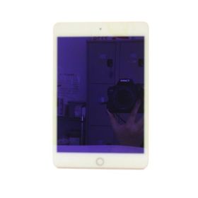 アップル Apple アイパッドミニ iPad mini 第5世代 タブレット 256GB SIMフリー ピンク A2124 /YT その他