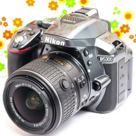 Nikon ニコン D5300 ☆グレー Gray☆軽量バリアングル☆一眼レフ！