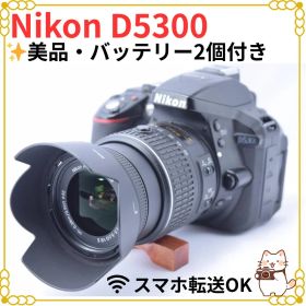 ①Nikon D5300 レンズキット 美品 バッテリー２個 Wi-Fi 初心者