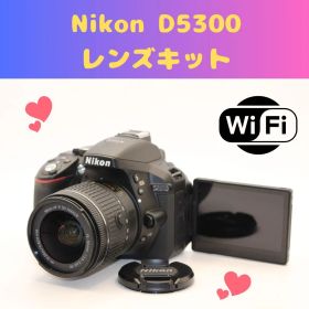 ★高速AF★Wi-Fi搭載★ Nikon D5300 自撮り 画面回転 ニコン