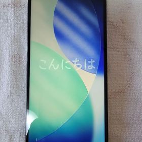 【極美品】iPhone 15 Pro Max 512GB 国内版/新品液晶交換済