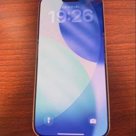 iPhone 15 Pro Max 1tb 超美品！容量96%！