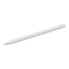 アップル(Apple)のApple アップル /Apple Pencil 第2世代 /MU8F2J/A/SHK1JK3NBJKM9/Bランク/22【中古】(その他)