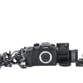 ■290ショットのほぼ新品■ パナソニック LUMIX DC-GH5S ミラーレス一眼カメラ #D149