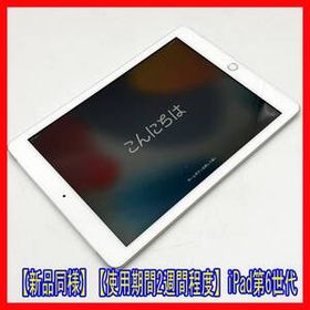 0105-02 ラスト1個【新品同様】【使用期間2週間程度】iPad第6世代★32GB★A1954★9.7インチ★Wi-Fi+Cellular★シルバー