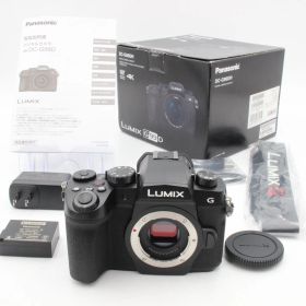 ショット数206 【極美品】 Panasonic パナソニック Lumix DC-G99D ボディ ルミックス 元箱(内部緩衝材あり)付属品付き 103012