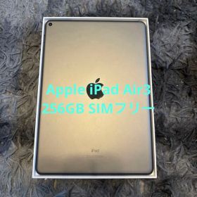 Apple iPad Air3 第3世代 本体 スペースグレー 美品