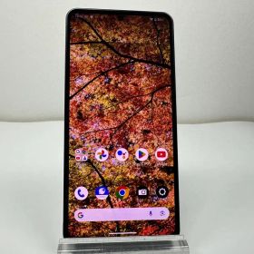 LEITZ PHONE 3 中古 41,113円 | ネット最安値の価格比較 プライスランク