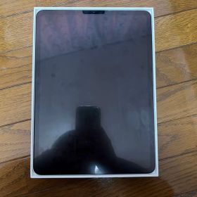 ジャンク Apple iPad Pro 11インチ 第1世代