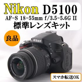 ニコン(Nikon)の【動作良好】Nikon D5100 一眼レフ レンズキット 撮影 入学式 桜(デジタル一眼)