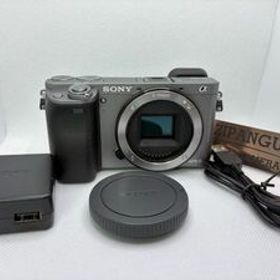 SONY α6000 ボディ グラファイトシルバー ILCE-6000 ショット数約800回 英語他多言語対応