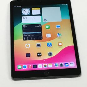 美品 電池100％(充放電6回） SIMフリー iPad 第8世代 32GB【動作確認・初期化済み】