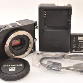 ★極上品★ Panasonic パナソニック LUMIX DMC-GM5 ボディ ブラック ミラーレス一眼カメラ 2604081