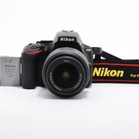 ★良品★ニコン Nikon D5600 + AF-S DX NIKKOR 18-55mm F3.5-5.6G ED VR ショット数8,242 回★ W0422＃4719