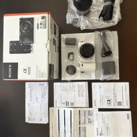 SONY ソニー α6000
