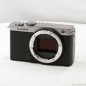LUMIX DC-S9-S ボディ シルバー