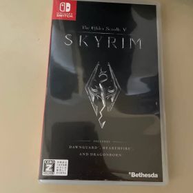 The Elder Scrolls V: Skyrim (Switch)