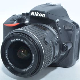 250393★ほぼ新品★Nikon デジタル一眼レフカメラ D5500 18-55 VRII レンズキット ブラック 2416万画素 3.2型液晶 D5500LK18-55BK ニコン