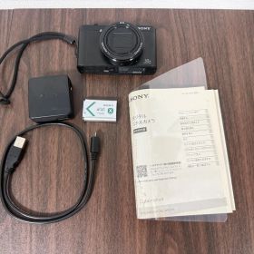 SONY ソニー Cyber-shot DSC-WX500 ケース付 サイバーショット コンパクトカメラ 30倍ズーム