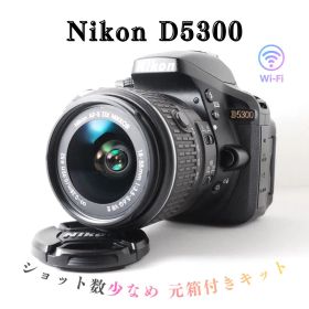 【ショット数少・美品】Nikon D5300✨Wi-Fi バリアングル 高画質