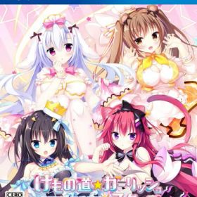 けもの道ガーリッシュスクエア -PS4