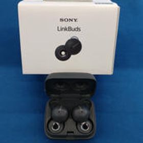 ワイヤレスイヤホン WF-L900 SONY