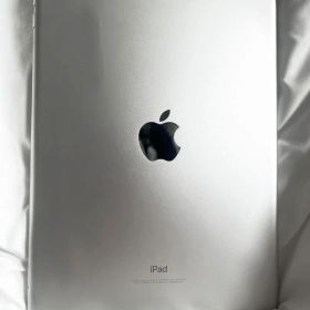 Apple iPad シルバー 本体 備品全て有箱付き 6世代