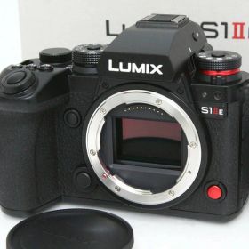 【中古】【美品】パナソニック LUMIX DC-S1M2ES ボディ（センサー清掃済み） CA01-R5015-2P5 Panasonic Lマウント フルサイズ 5軸手ブレ補正 EVF 中古